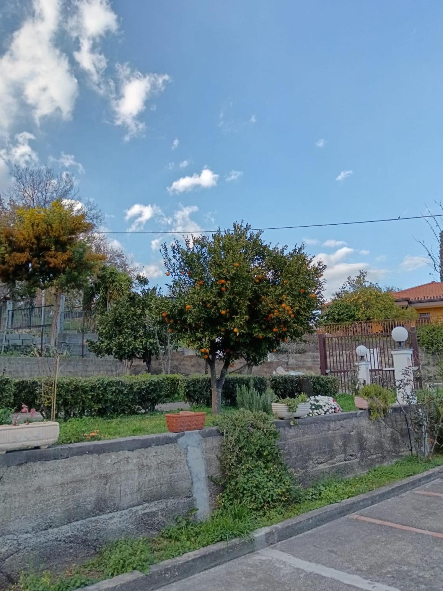 Ferienwohnung Abbentu Zafferana Etnea Exterior foto
